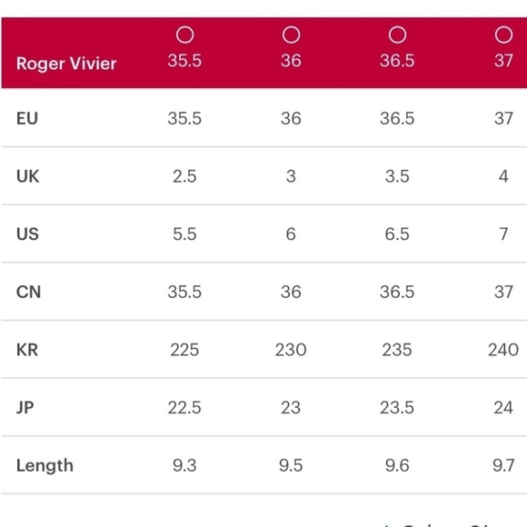 ROGER VIVIER Polly Suede Buckle Knee Boot In Grey - Picture 15 of 15